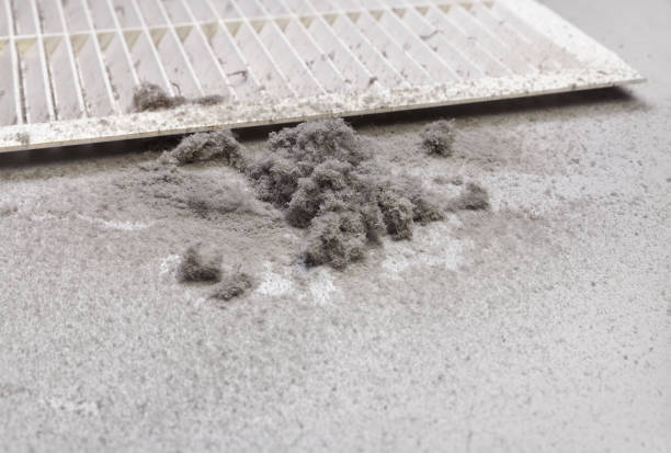 Best Local Air Duct Cleaning Services  in Bloomingburg, OH
