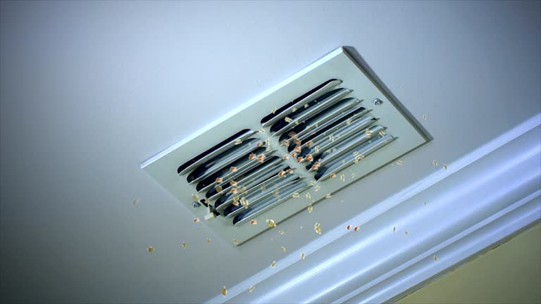 Best Best Air Duct Cleaning Company  in Bloomingburg, OH