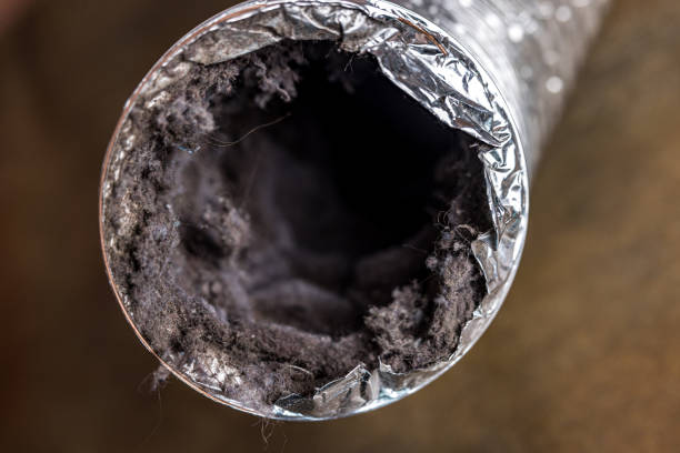 Best Dryer Vent Cleaning Services  in Bloomingburg, OH