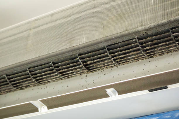 Best Air Duct Cleaning Company Near Me  in Bloomingburg, OH